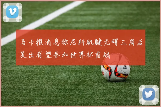 马卡报消息称尼科肌腱无碍三周后复出有望参加世界杯首战