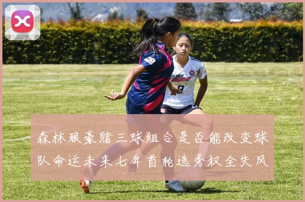 森林狼豪赌三球组合是否能改变球队命运未来七年首轮选秀权全失风险巨大